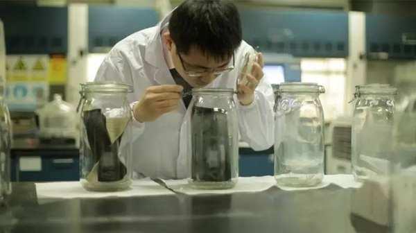 人称“移动马桶”的福特，其实有气味实验室