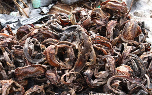 非洲黑人为何在中国就赖着不想走?看非洲市场你就懂