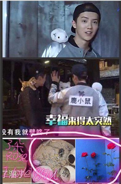 AngelaBaby回归奔跑吧为什么要这么做?意图是什么