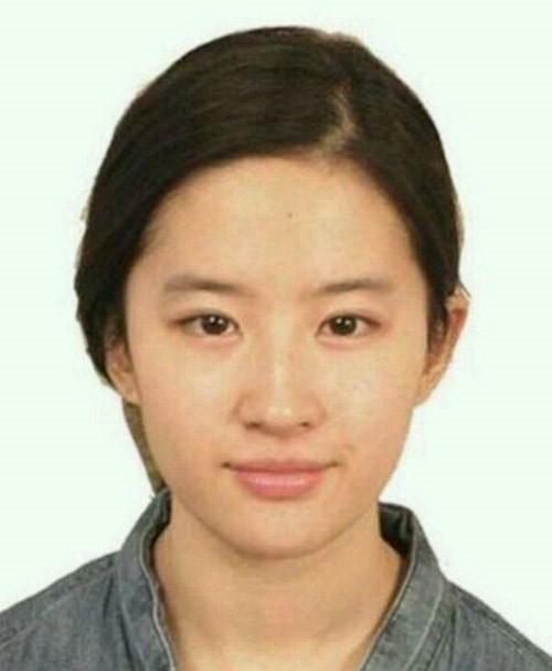 证件照美才是真的美 明星证件照大揭秘 娱乐圈盘点 娱乐资讯 上海在线