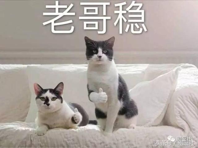 楚乔传：现在恶毒女配的标配都是无脑乱喷蛇精脸嘛？