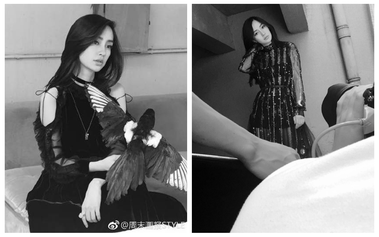 一张大合照暴露了Angelababy的地位