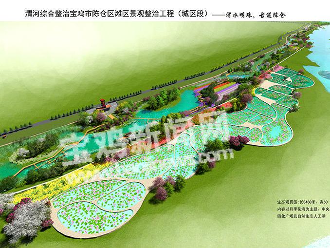 宝鸡陈仓区:渭河荒滩浓墨重彩做"锦绣"文章