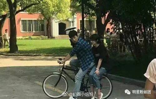 90后小花纷纷拿到IP女一,郑爽杨紫为什么最受关注