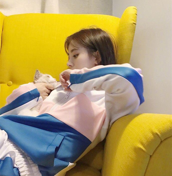 4000年国民美少女鞠婧祎逗萌猫,网友:真是治愈系小姐姐!