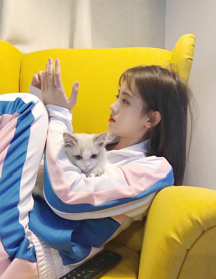 4000年国民美少女鞠婧祎逗萌猫，网友：真是治愈系小姐姐！