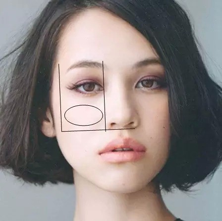 【竖形的腮红】适合圆及方脸型的淫,还有中庭比较短的【斜腮红】斜