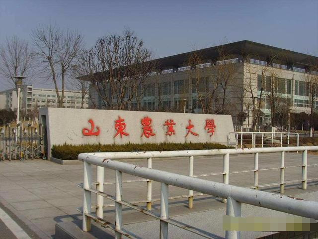 山东这些大学不是211和985,但王牌专业比肩清