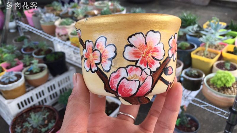 养多肉 Diy花盆画成这样 你还舍得种肉吗