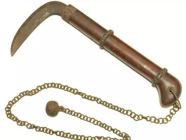 韭菜的命 操镰刀的心 韭菜与镰刀的关系是怎样的