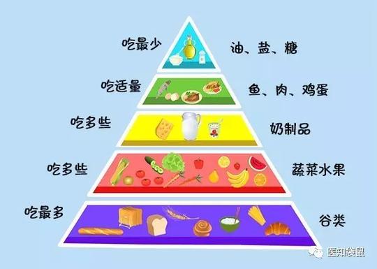 > 正文     从下往上看:   金字塔的第一层:是最重要的粮谷类食物