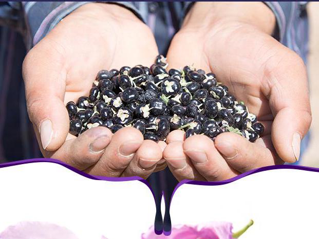 神奇的黑枸杞 用不同的水可以泡出不一样的颜色哦!|枸杞|花青素|颜色|蓝色|紫红色_新浪新闻