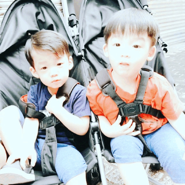 范玮琪38岁试管成功 谁料一怀就是双胞胎