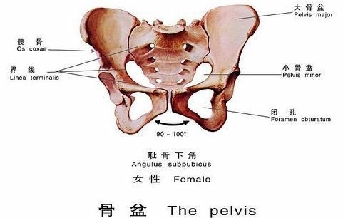 1米五是道坎小个孕妇比高个孕妇难产概率高一倍