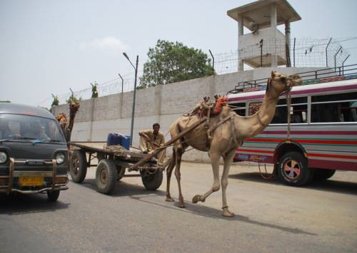 [转帖]歪果仁在这件事上居然用左手！