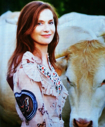 《她》这部电影猪样讲述了,米歇尔(伊利贝尔-于佩尔 饰)是一家游戏