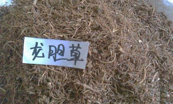 咽喉炎,扁桃体炎,嗓子难受的不得了,这棵草竟有效