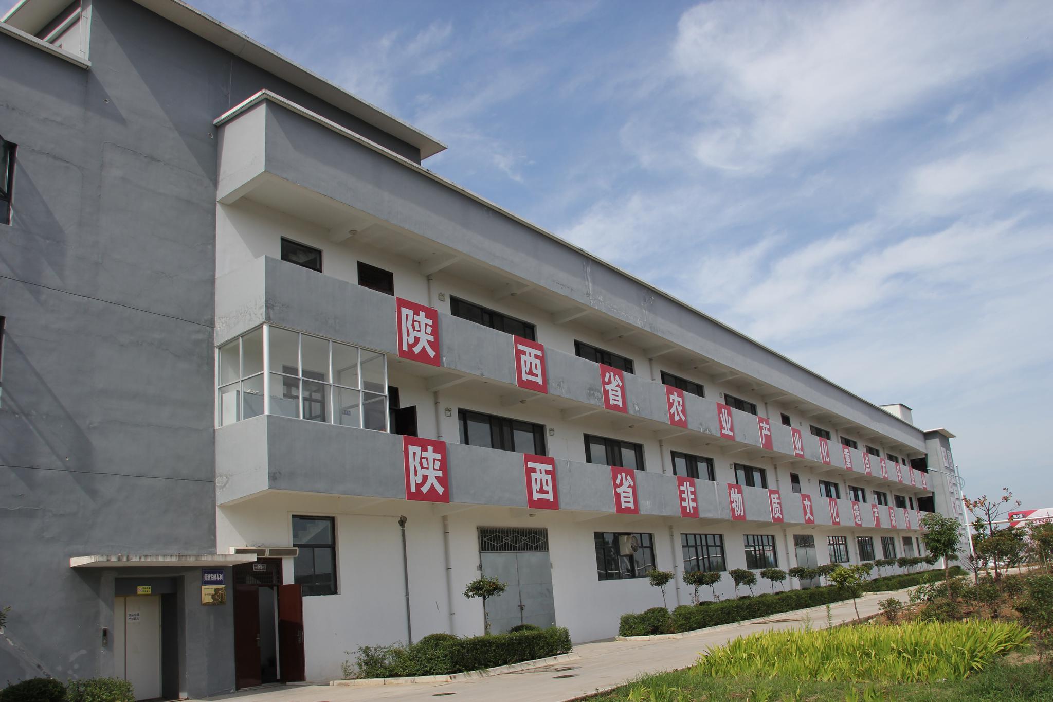 走进汉中洋县秦洋长生酒业探密传统与现代酿酒工艺