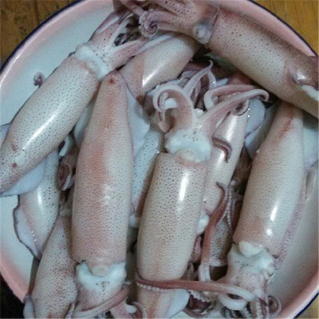 这种海鲜一上岸,就被蹲点的商贩买个精光|鱿鱼|大管|海鲜_新浪新闻