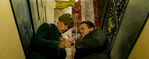 《神奇动物在哪里2》开拍了,小雀斑有何感想?