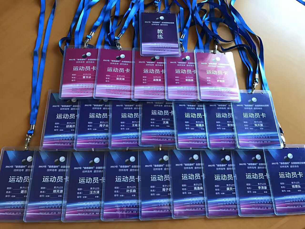 2017年"泰恩康杯"全国围棋定段赛开幕