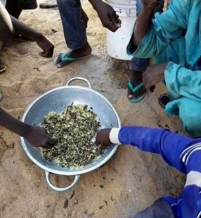 实拍非洲人的三餐,以敬那些为了爱情赴身的女孩