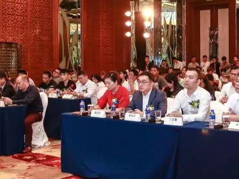 豪霆赛车获印纪光大文化产业基金投资