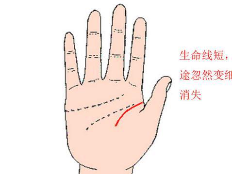 手相生命线看一个人寿命长短 手相生命线看一个人寿命长短