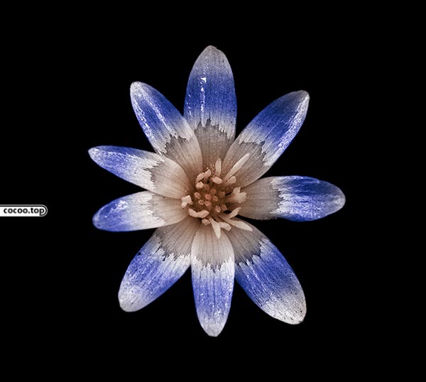 构图中形式美感的表达如何实现