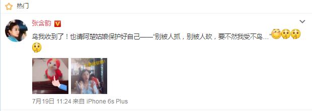 赵丽颖送给谢娜张含韵苍梧鸟,私底下有点话痨有点色