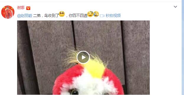 赵丽颖送给谢娜张含韵苍梧鸟,私底下有点话痨有点色