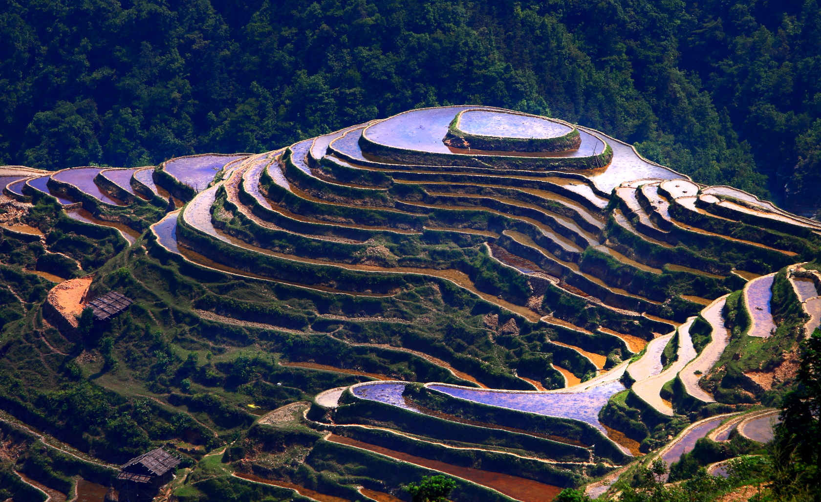 中国十大最美梯田,天堂里的时光天梯|梯田|天梯|云雾_新浪新闻