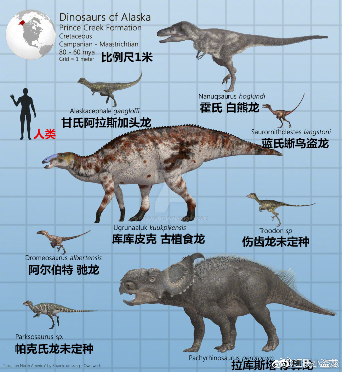 白熊龙:生活在北极的迷你小霸王