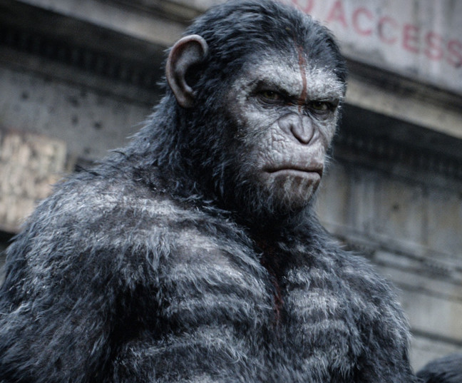 猩球崛起3票房破亿差强人意凯撒结局寓意深长