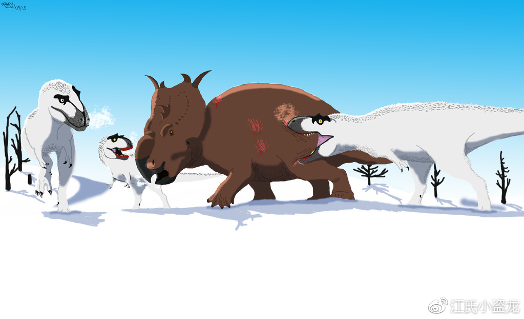 白熊龙:生活在北极的迷你小霸王