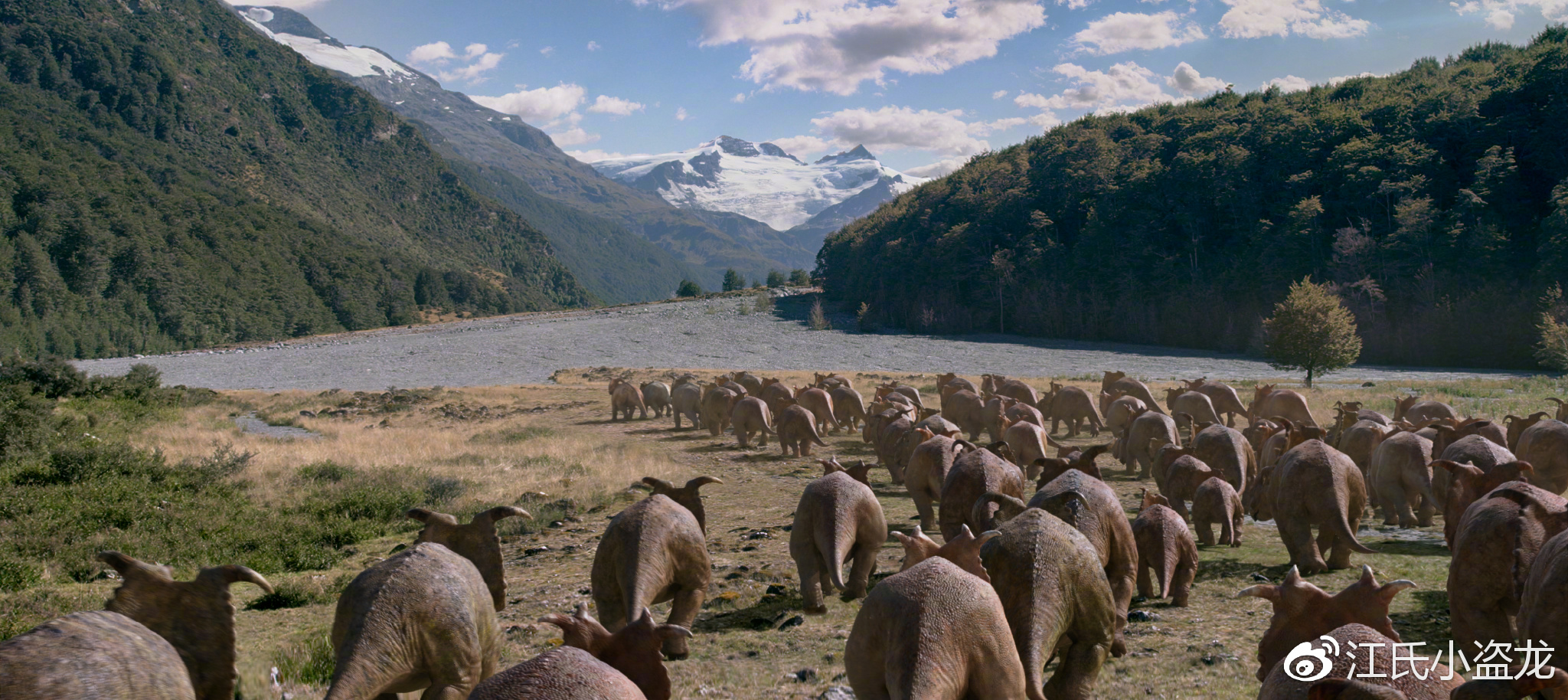 白熊龙:生活在北极的迷你小霸王