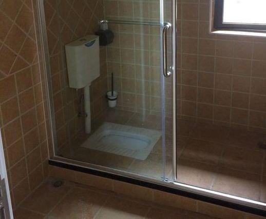 卫生间别在装马桶,现流行把蹲坑装淋浴上还防臭