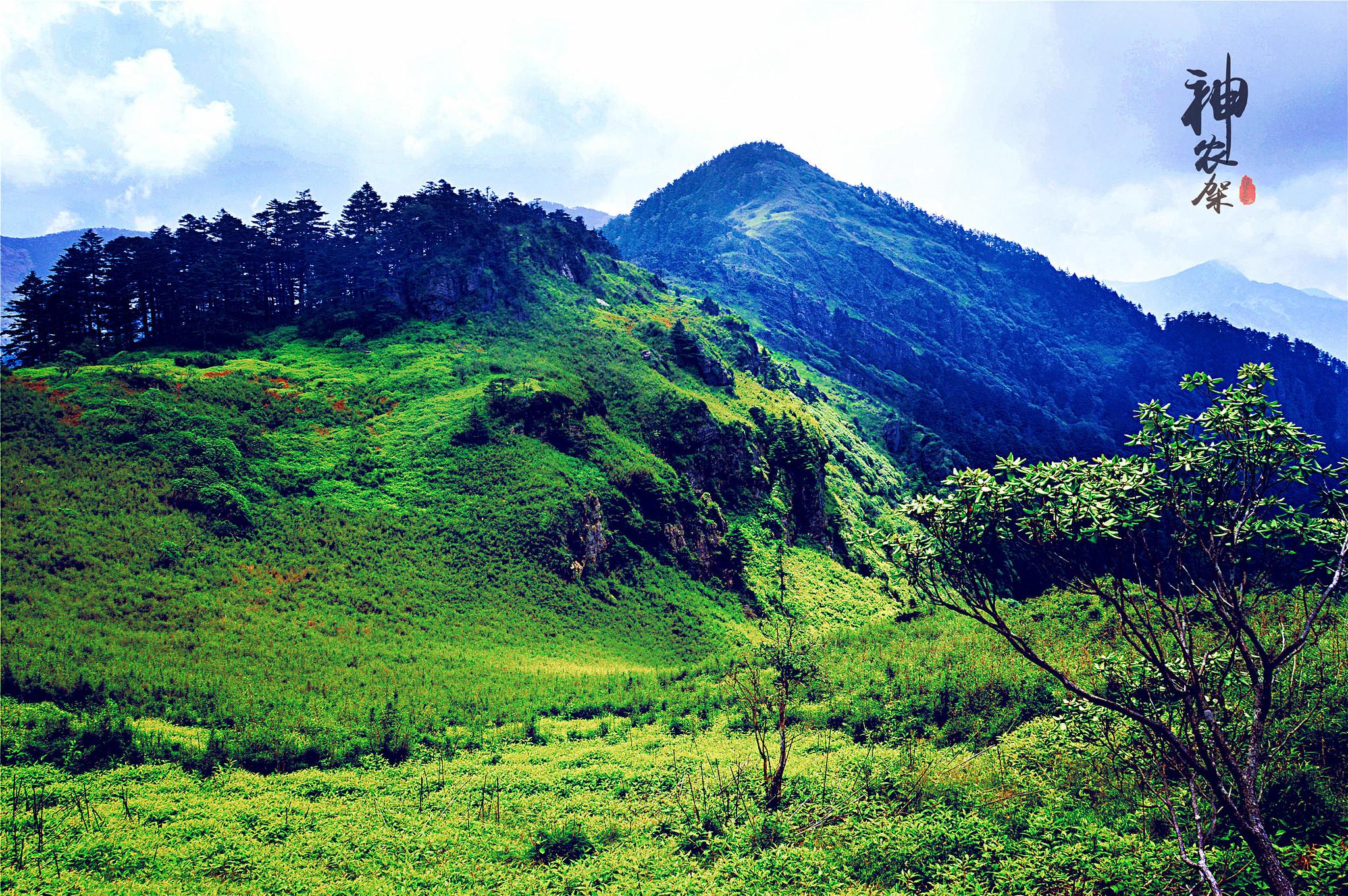 中国唯一以林区命名的行政区:有人耗尽一生寻找野人