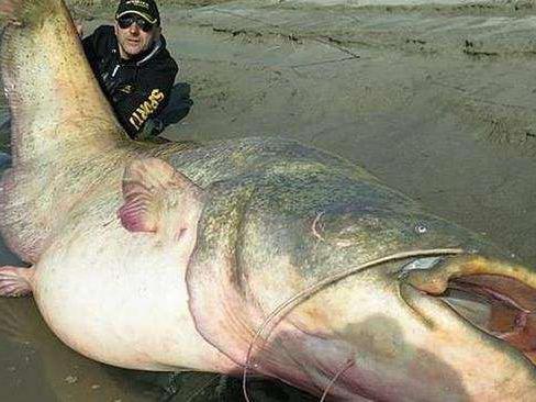 骑摩托车行几十公里, 躲进深山水库钓野鱼