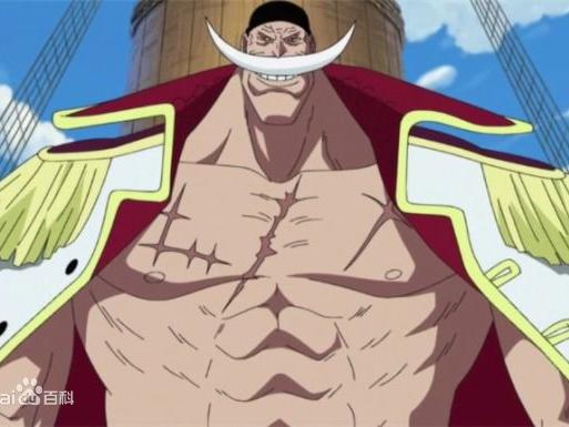 尾田公布白胡子发型,暗示大家:威布尔不是老爹儿子