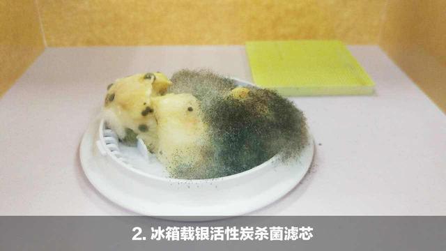馒头上的霉菌长得非常好,堪比实验室培养基上培养的微生物