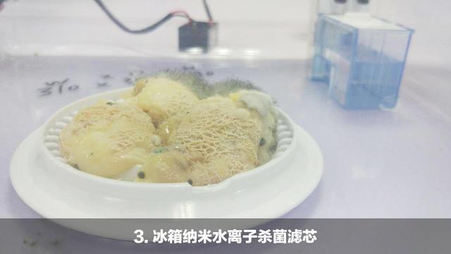馒头上的霉菌长得非常好,堪比实验室培养基上培养的微生物