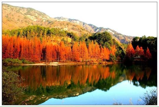 【边走边吟】我的家乡叫英山