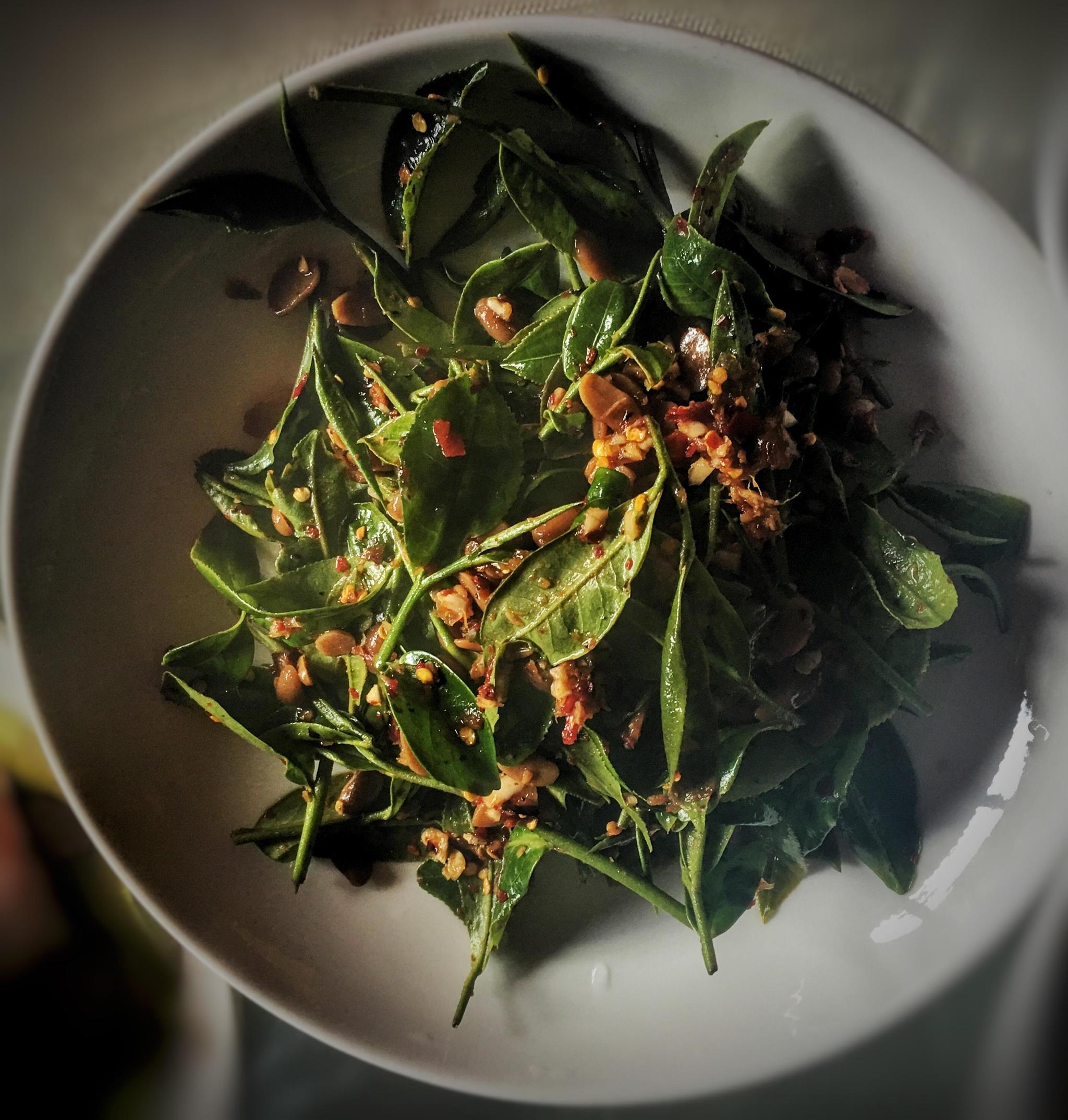 云南普洱体验特色"茶菜宴" 感受"舌尖上的美味"|茶叶|普洱|云南_新浪