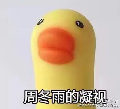 她19岁出道,24岁被周杰伦捧红,今是金马影后!