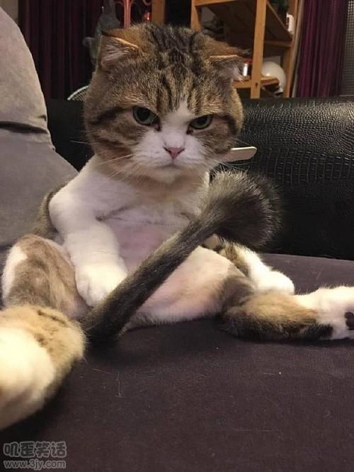 我感觉受到了一万点暴击