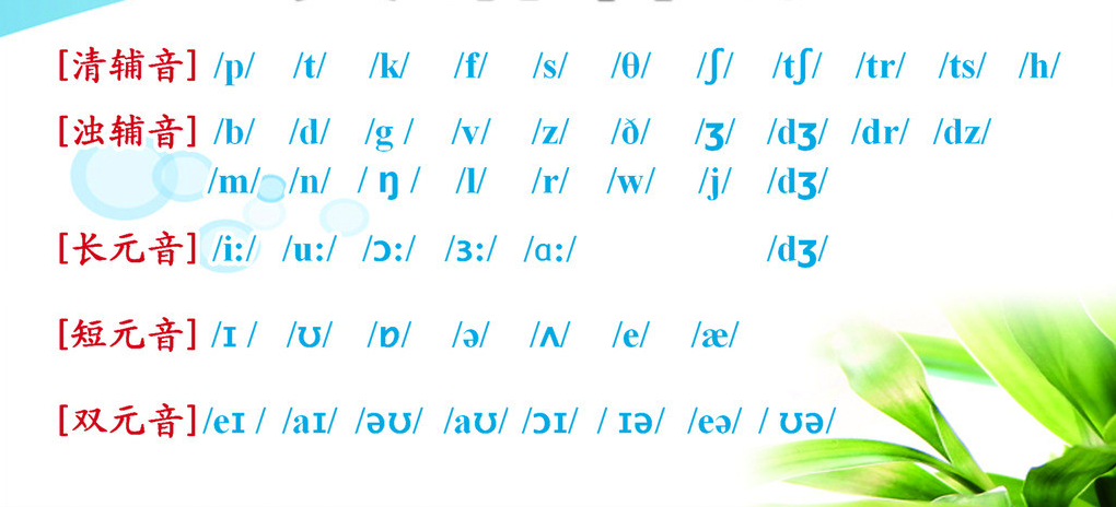 英语自然拼读怎么学?方法在这里!