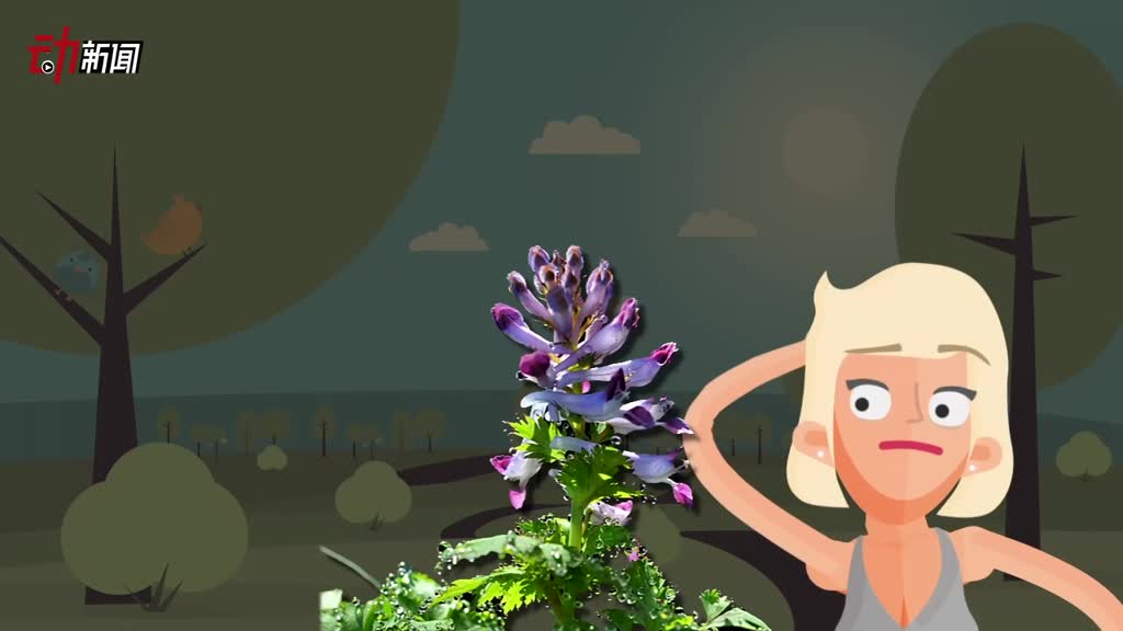 四川3名小学生用断肠草制农药获奖