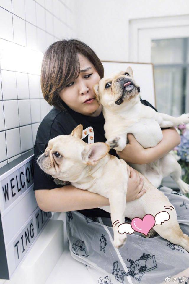 七夕贾静雯贾乃亮撒狗粮 窦靖童有情况 吴京独