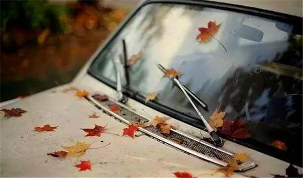 开不伤车停最伤车！做好这几点，停放再久也不伤车！